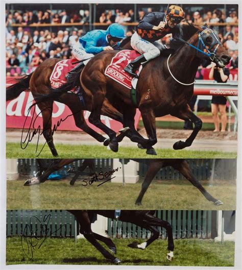 Signed Melbourne Cup Winner Jockey Photographs - Sporting - Horses ...