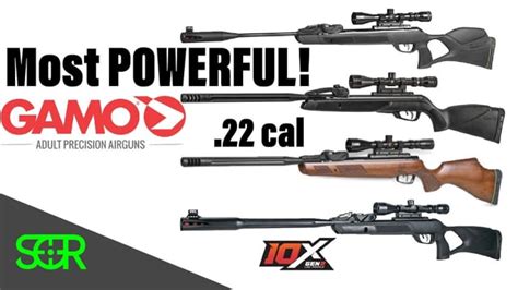 ULTIMATE Gamo Swarm POWER TEST! Gamo Swarm Magnum, Swarm Maxxim, Bone ...