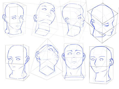 Face Perspective Drawing