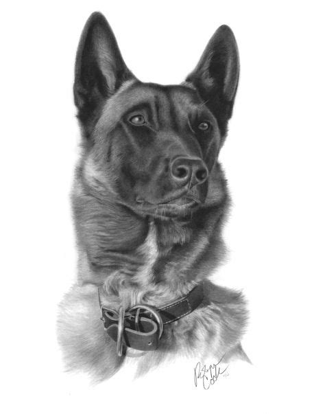 29 Belgian Malinois Artwork ideas | malinois, belgian malinois, artwork