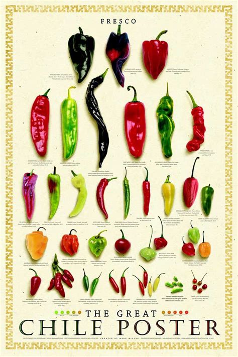 Stuffed peppers, Food poster, Types of peppers