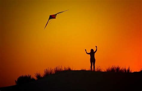 Types of Kites: Different Kites and How to Fly Them