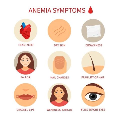 Cartoon Of The Anemia Illustrations, Royalty-Free Vector Graphics ...