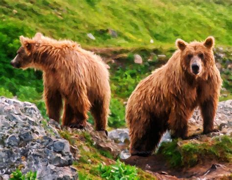 Alaska Brown Bears Painting by Michael Pickett - Fine Art America