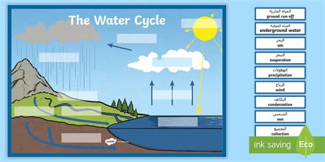 The Water Cycle Large Display Labeling Activity Arabic/English