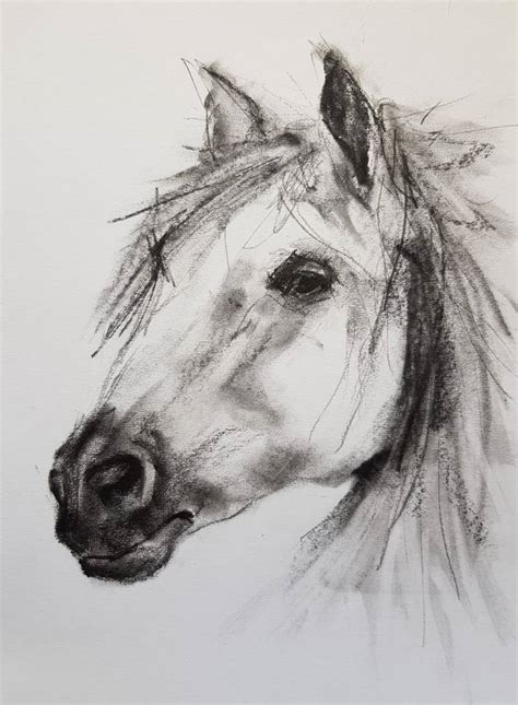 Horse face Drawing by Johan De Waal | Saatchi Art