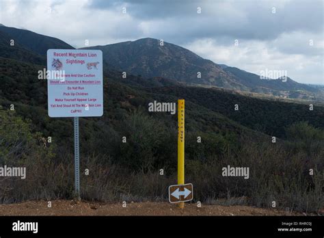 Sign warning for recent mountain lion sightings in Claremont ...