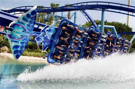 7 Must-See Attractions at SeaWorld