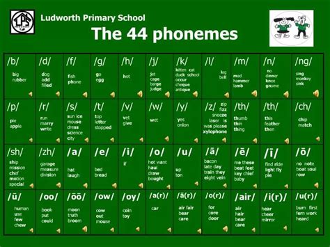 PPT - The 44 phonemes PowerPoint Presentation, free download - ID:5580627