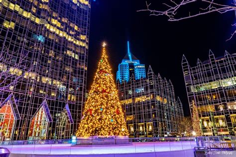 7 Great Christmas Tree Displays in Pittsburgh | Pittsburgh Beautiful