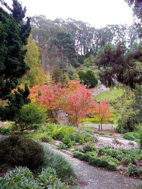 Cee Lew: Autumn in Mt Lofty Botanic Gardens