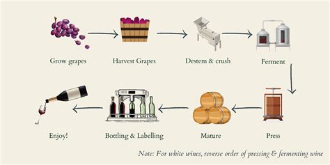 Fermentation Process Of Wine