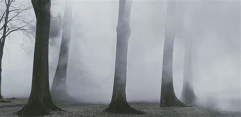 Fog GIFs | Tenor