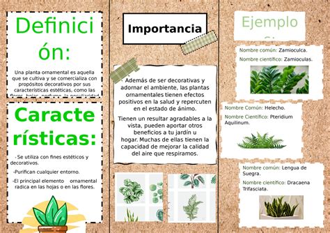 Beneficios De Las Plantas