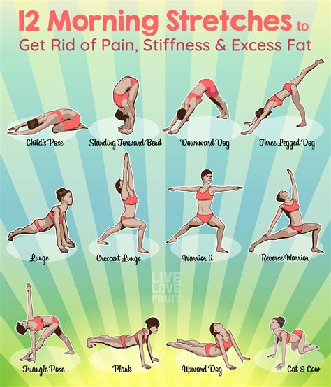 Pin by Laura Kelley on Fitness | Morning stretches, Morning yoga ...