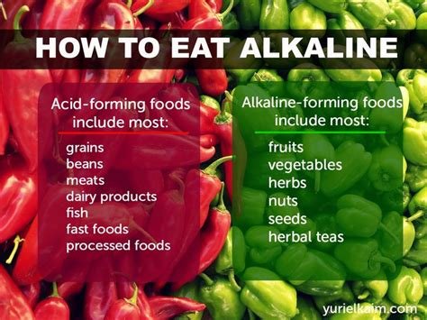 Alkaline diet meal plan for weight loss xl - 7 Day Alkaline Diet - 1200 ...