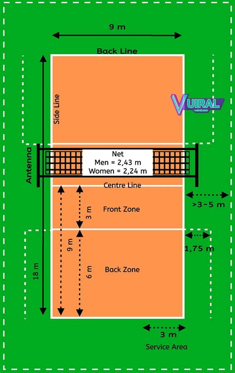 Gambar Dan Ukuran Lapangan Bola Voli Beserta Keterangannya - Vuiral