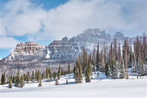 The Winter Ecology of Yellowstone - swedbank.nl