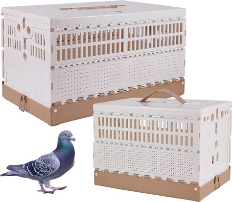 Buy Plastic Folding Pigeon Cage, Portable Pet Bird Travel Cage Pigeon ...