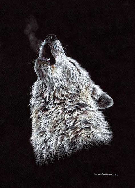 White Wolf Pencil Drawing Drawing by Sarah Stribbling - Pixels