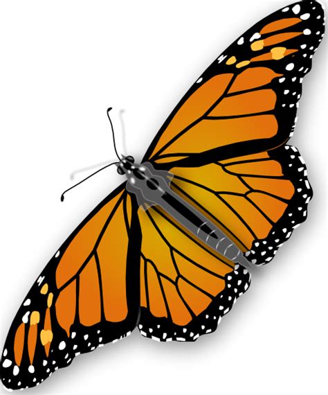 Animated monarch butterfly clip art free