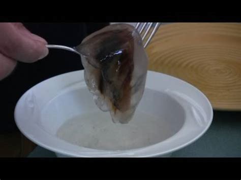 How to cook a jellyfish or fun ideas for a family vacation - YouTube