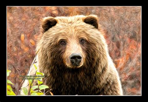 Brown Bear Oil Painting