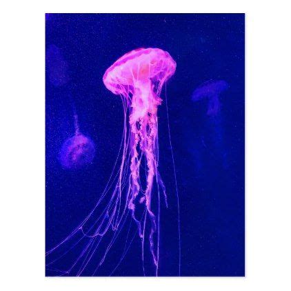 Neon Pink Jellyfish Postcard | Zazzle.com | Pink jellyfish, Neon pink ...