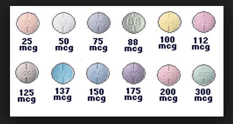 Thyroid Dose Conversion Chart