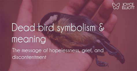 Dead Bird Symbolism and Meaning: It’s Time For Change and ...