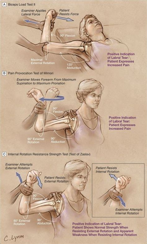 Pin on Weapon and War Anatomy