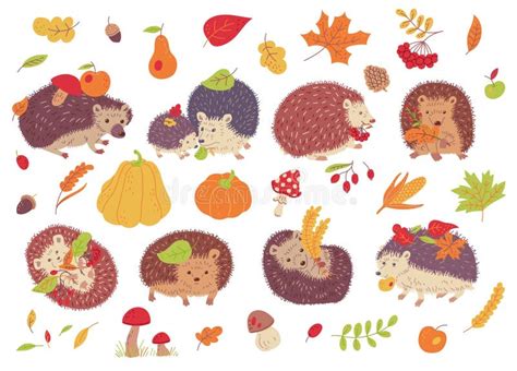 Autumn Set with Hedgehog and Autumn Leaves, Flat Vector Illustration ...