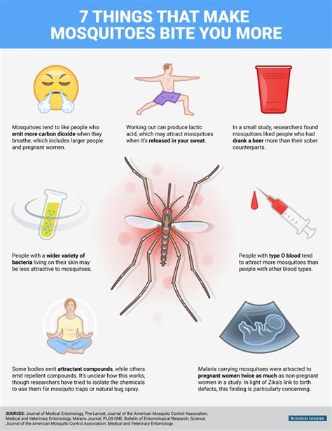 Symptoms Of Mosquito Bite And Diseases Caused