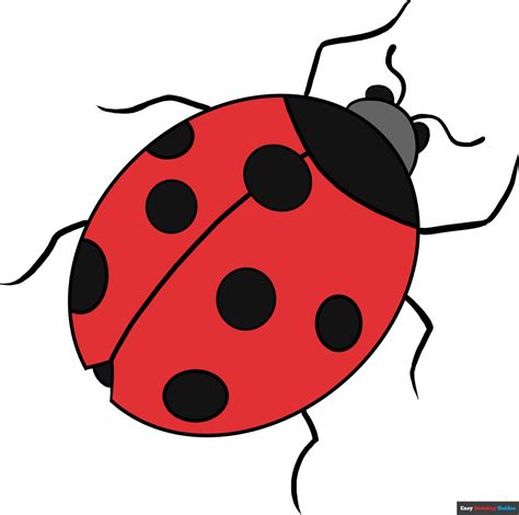 How to Draw a Ladybug - Really Easy Drawing Tutorial