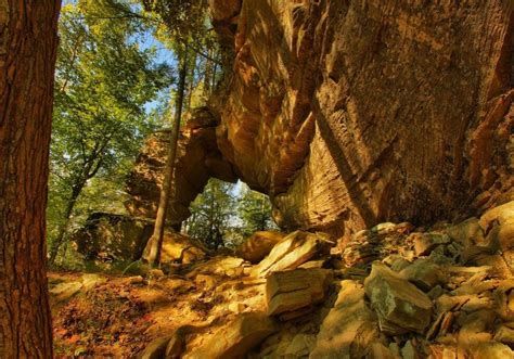 Red River Gorge - Cliffview