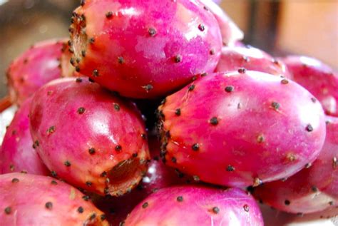 7 Health Benefits of Prickly Pear | The Luxury Spot