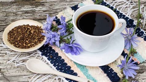 The 7 Best Chicory Coffees You Should Try in 2024 - Coffeenatics