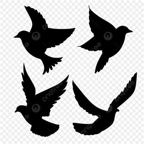 Flying Pigeon Silhouette Transparent Background, Pigeon Black ...