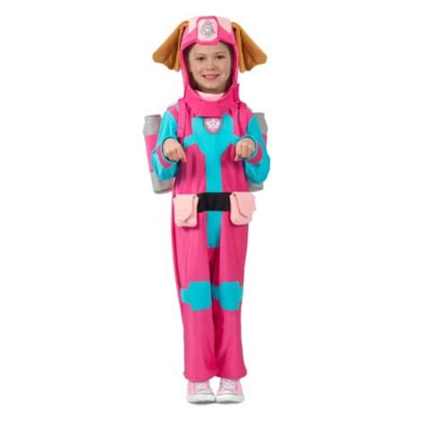 Princess Girls Paw Patrol Sea Patrol Skye Child Costume - Small, One ...