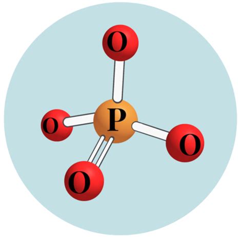 Phosphorus Types Explained