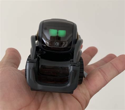 Vector smart robot review - much more than just a toy - Tech Guide