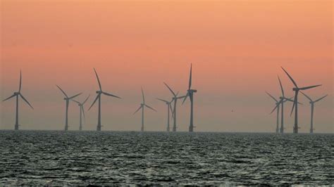 The Role of Offshore Wind Farms in Climate Action - WindCycle