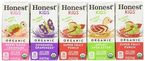 Amazon.com : Honest Kids Honest Kids Organic Juice Boxes, 6 Fl Oz, Pack ...