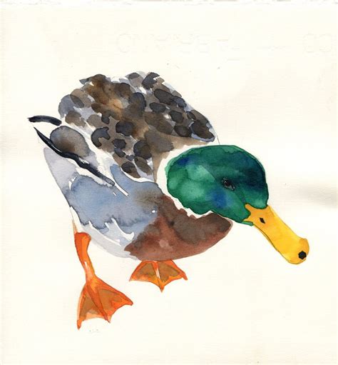 Mallard Duck Watercolour by Hannah Clark | Artfinder