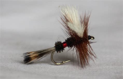 Trout Fly Fishing Flies - Fly Fishing Basics - Enjoy the Water