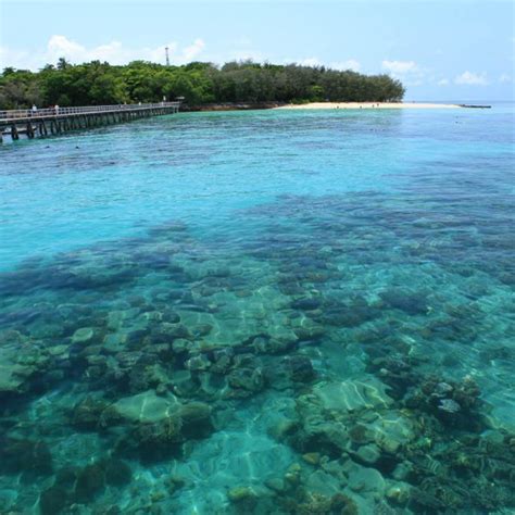 Glass bottom boat tour - Great Barrier Reef | Great Adventures