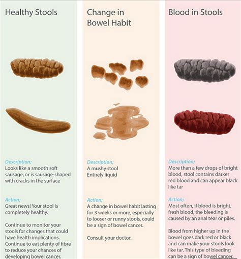 What Does Type One Poop Mean at Helen Bass blog