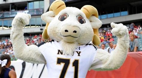 Mascot Memoirs: the Navy Midshipmen | AAC Football Fever | Navy ...