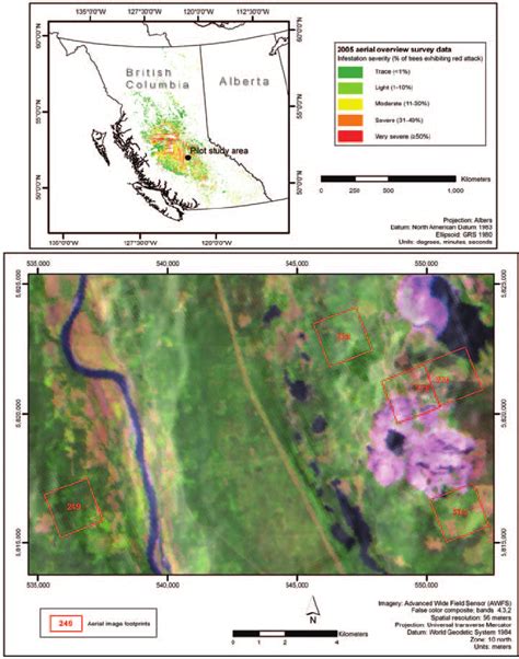 Map displaying mountain pine beetle infestation across the province of ...