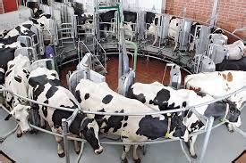 dairy farm equipment at Best Price in Pune | Delaval Pvt Ltd